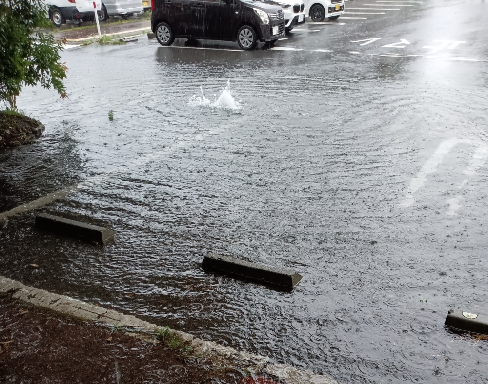 沖縄に行かない方がいい月は?交通影響から考察