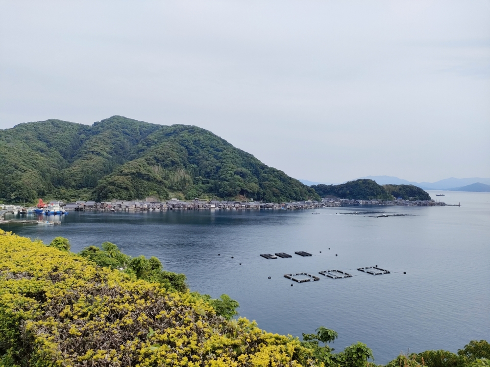 ふるさと納税のホタテが値上がり|その深刻な背景
