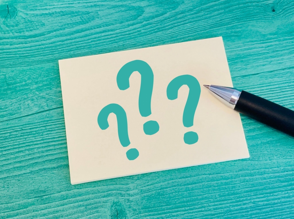 ふるさと納税でホタテはどこがいい?