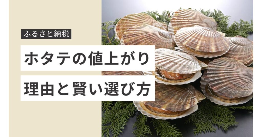 ふるさと納税のホタテが値上がり！理由と賢い選び方を徹底解説