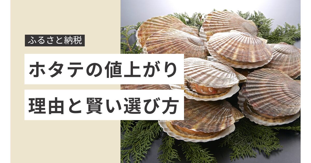 ふるさと納税のホタテが値上がり!理由と賢い選び方を徹底解説