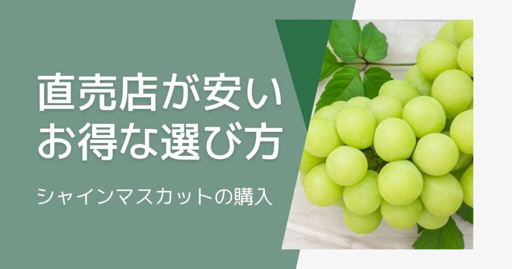 シャインマスカットは直売所が安い！お得な購入術と失敗しない選び方