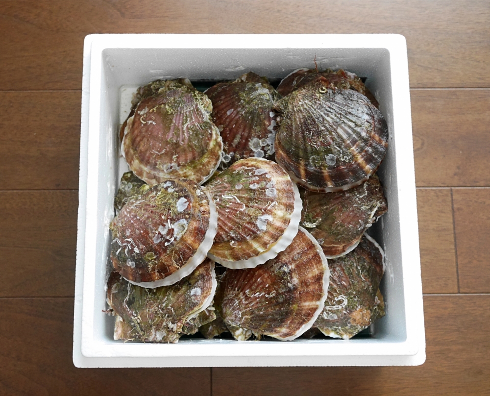 ホタテのウロを食べてしまったらどうなる?危険性と予防