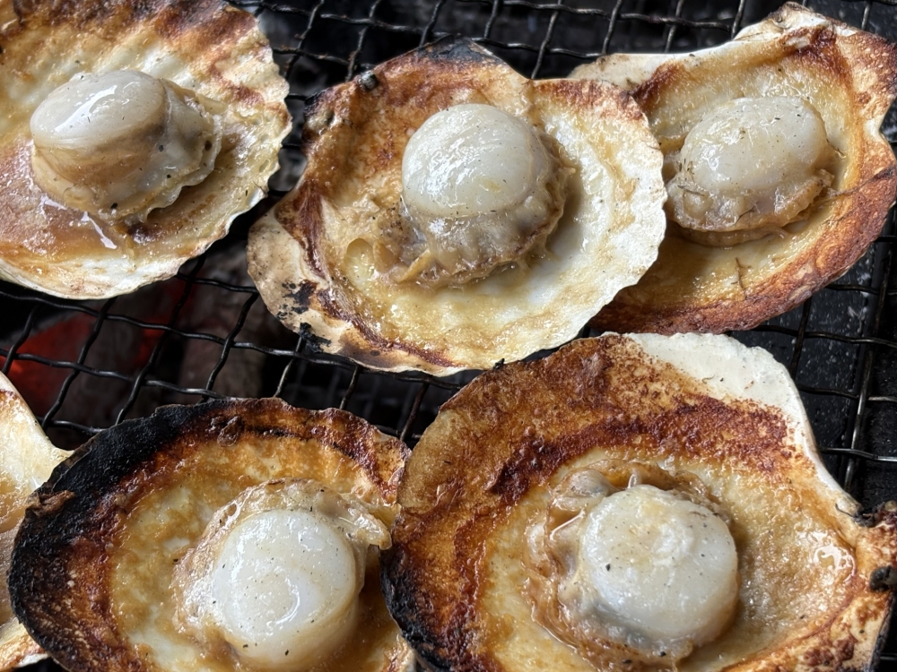 ホタテの食べ過ぎによる体調不良と対策