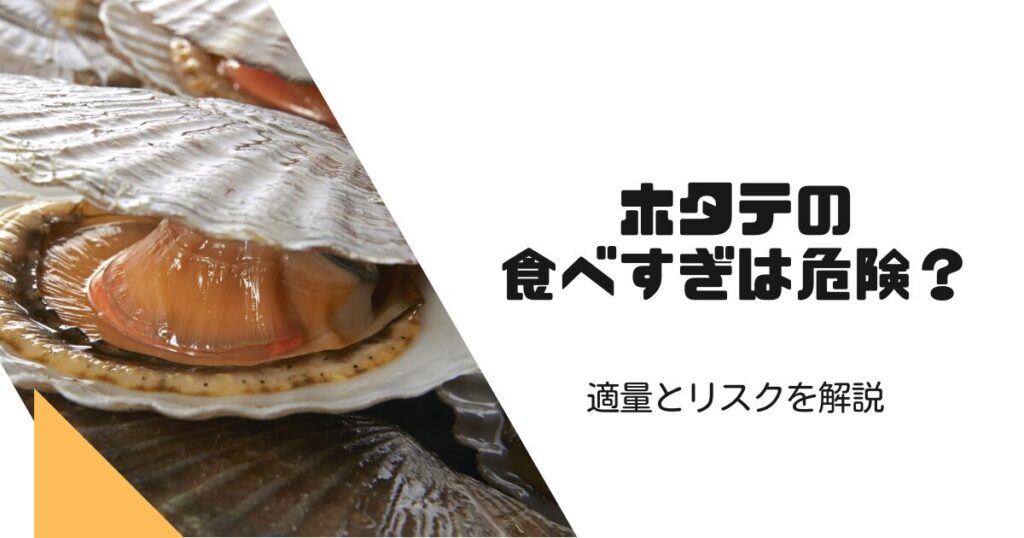 ホタテの食べ過ぎは危険?適量とリスクを徹底解説する完全ガイド