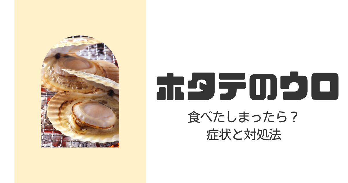 ホタテのウロを食べてしまったら?症状と対処法を徹底解説