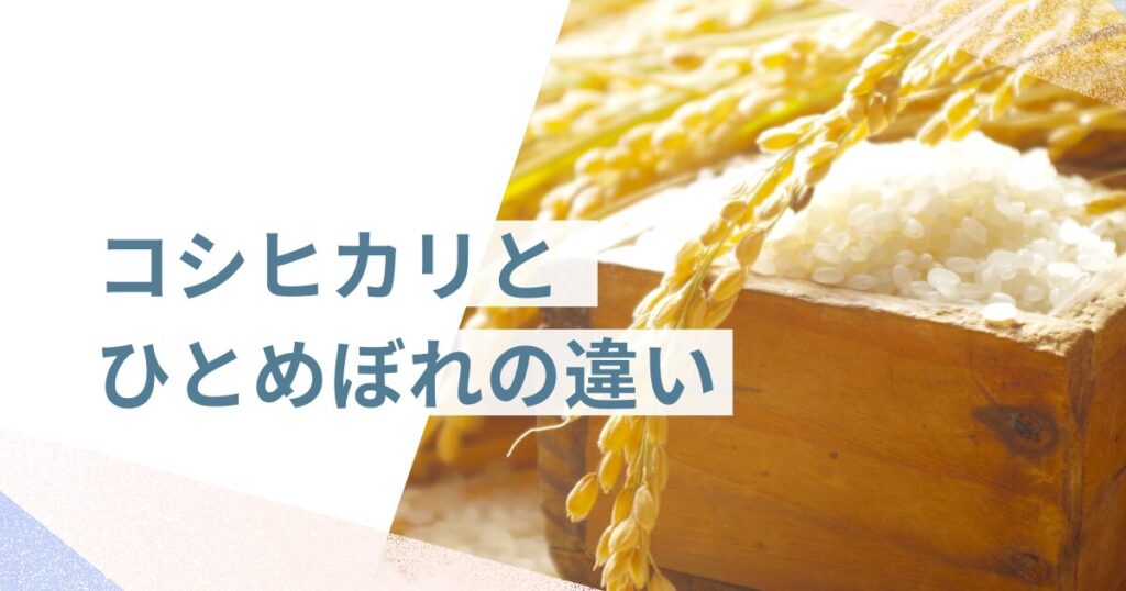コシヒカリとひとめぼれの違いを解説！ふるさと納税の選び方