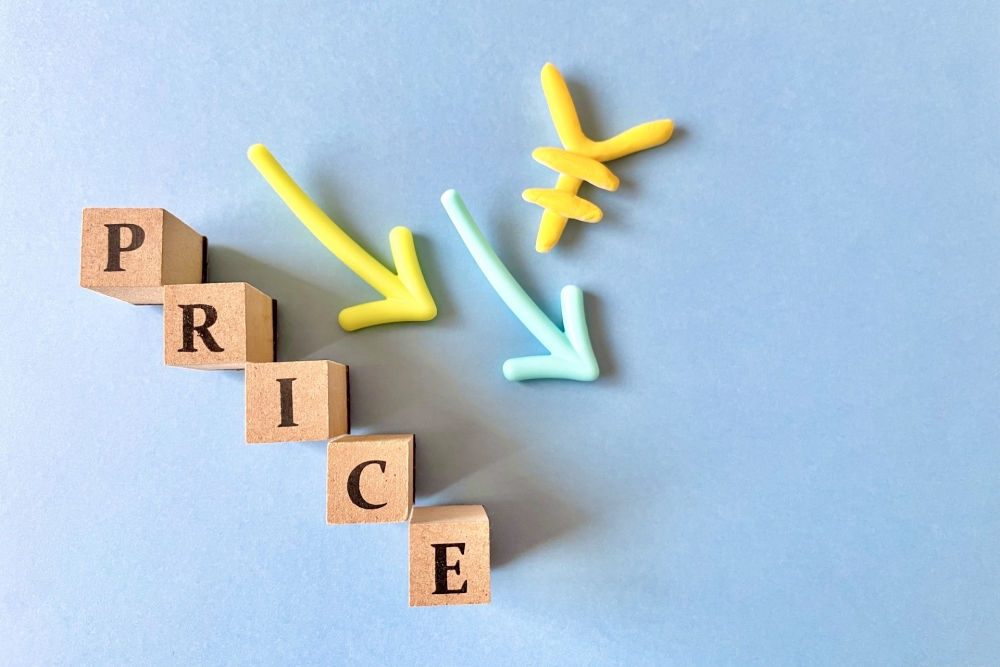 飯塚市ふるさと納税ハンバーグ値下げの噂と価格推移