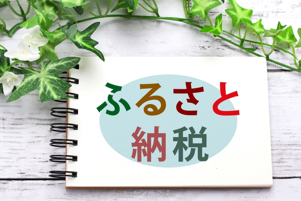 【ふるさと納税】お得にハラミとカルビを入手する