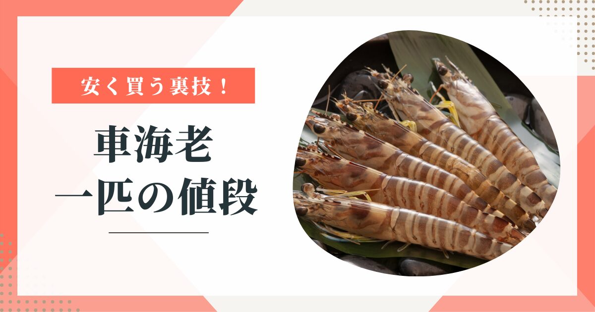 車海老の値段は1匹いくら？サイズ別相場と安く買う裏技を解説